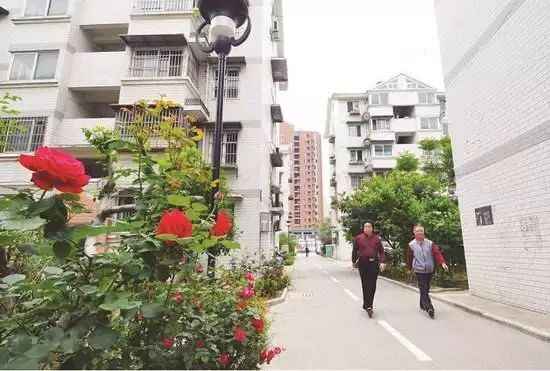 福建老旧小区改造征求意见：全方位升级门窗隔音、拆除违建、加装门禁、拓宽道路