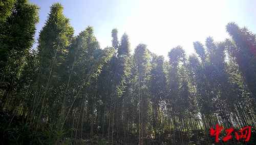 肇庆热浸塑涂塑钢管批发 怀集七甲村脱贫攻坚 中铁广州局彰显担当