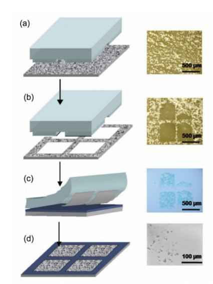 PNN电力管 光芯片，即将起飞！
