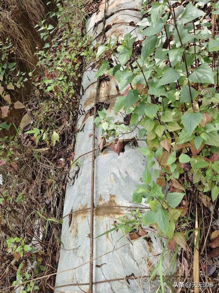 临沧电力管单价视角：烂尾水电站底价成交背后的电力建设新机遇