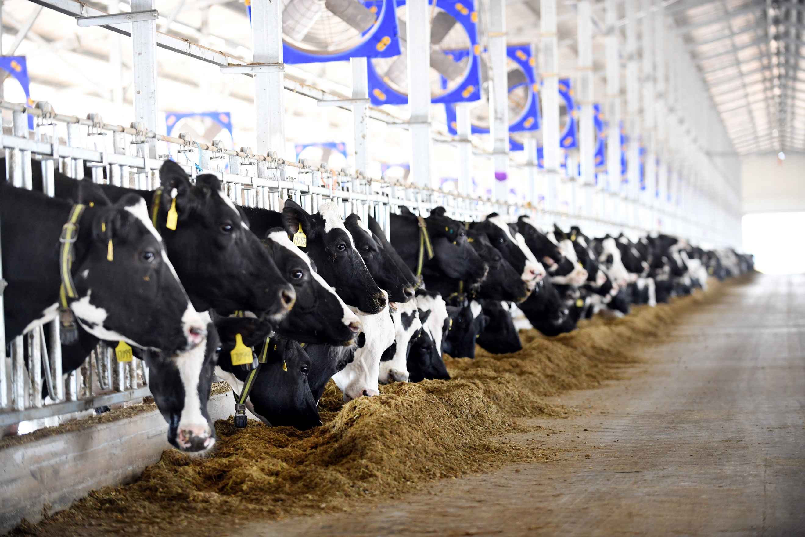 普洱pe电力管价格 超越增长：解码雀巢的“共享价值”经营范式